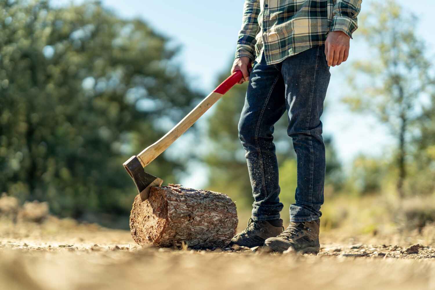 Best Tree Stump Removal  in Norwood Young America, MN